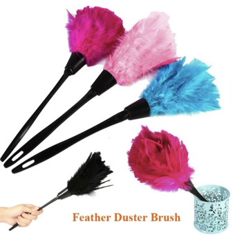 Handhold Portable Feather Duster With Hang Hole Anti-static Cleaning Dust Car Dashboard Cleaner Tools Plastic Handle Cleaning